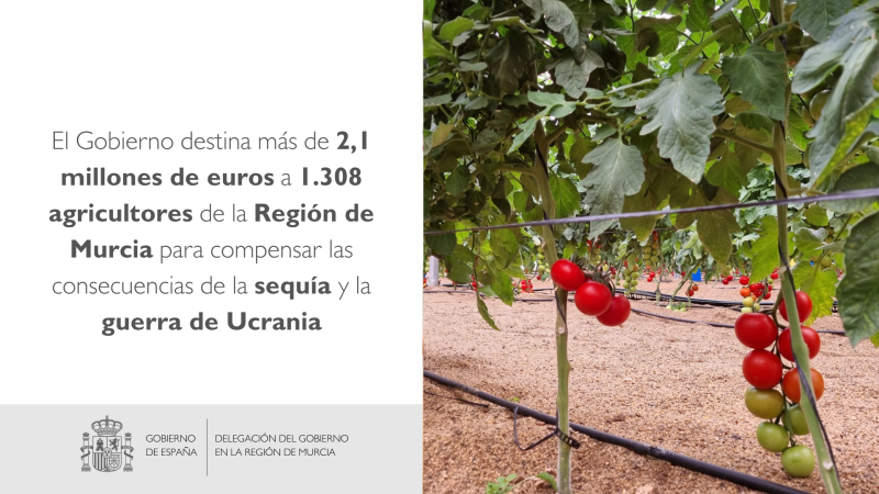 El Gobierno destina más de 2,1 millones de euros a 1.308 agricultores de la Región de Murcia para compensar las consecuencias de la sequía y la guerra de Ucrania